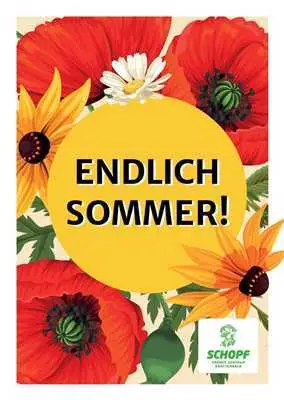 Endlich Sommer Newsletter 200525 Titel 2