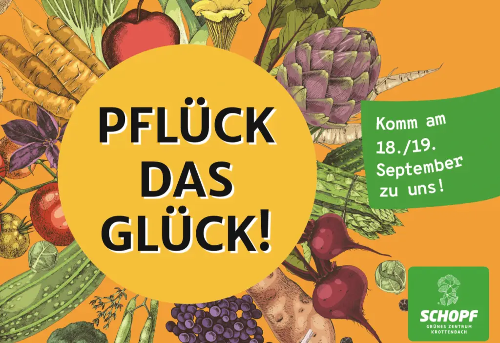 Pflück das Glück Großfläche