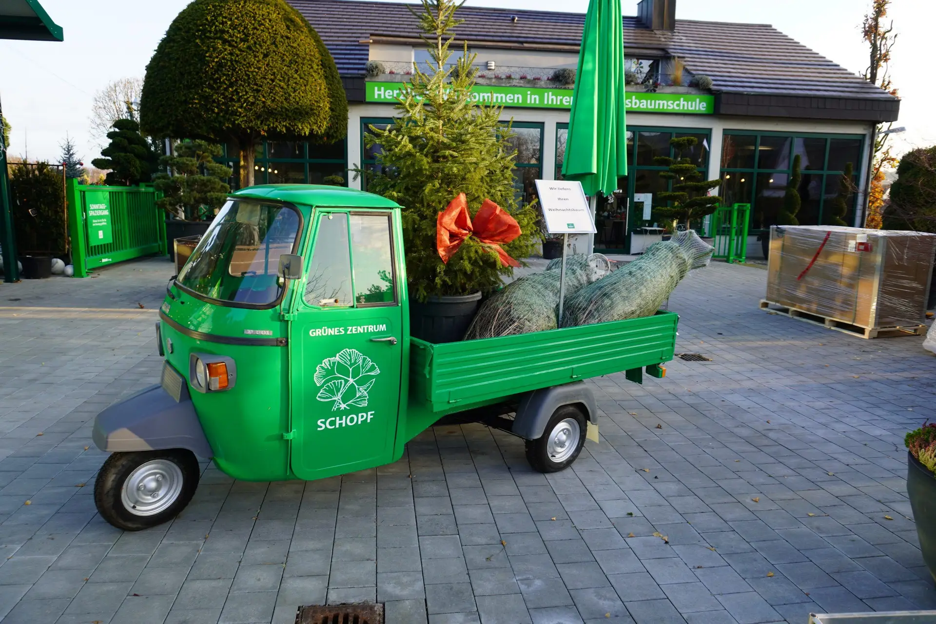 Lieferung Weihnachtsbaum