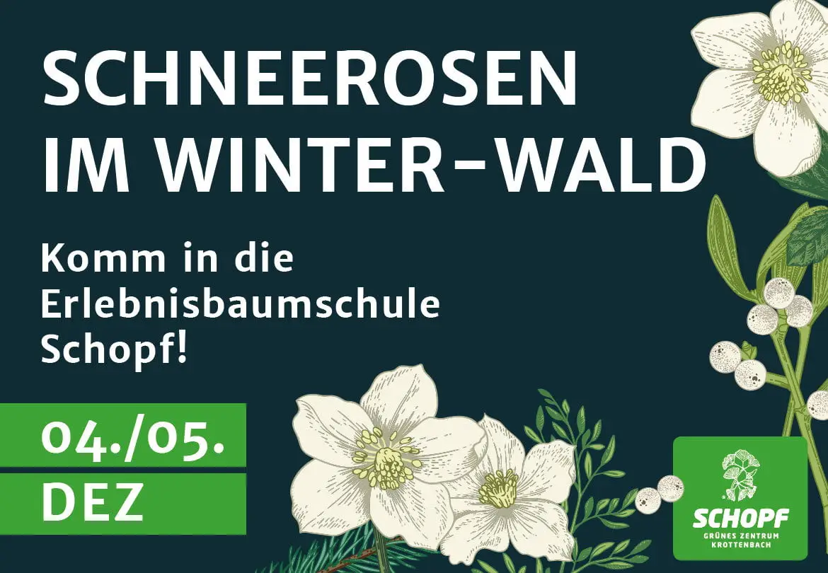 Schneerosen Winterland