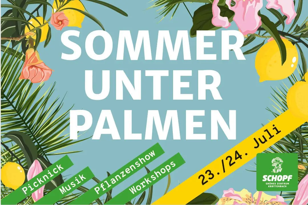 Sommer unter Palmen