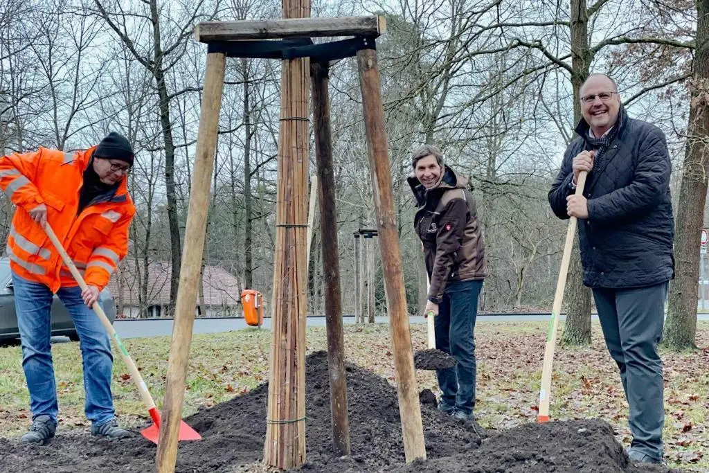 Ginkgo-Baum für Nürnberg zum 50-jährigen Firmenjubiläum