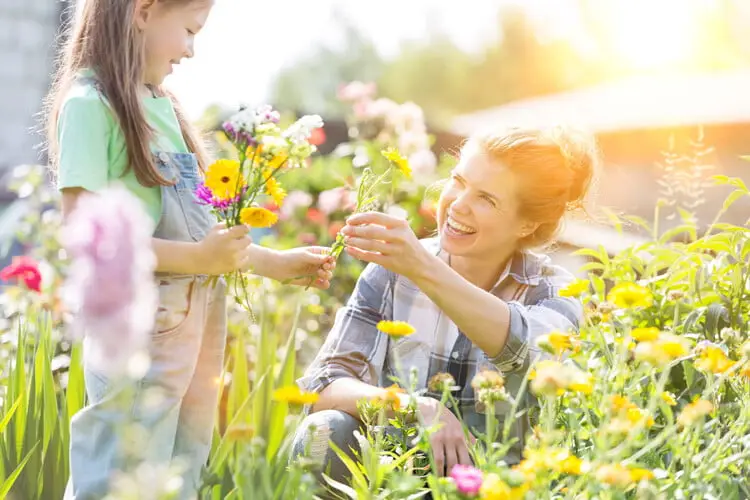 Blumenwiese