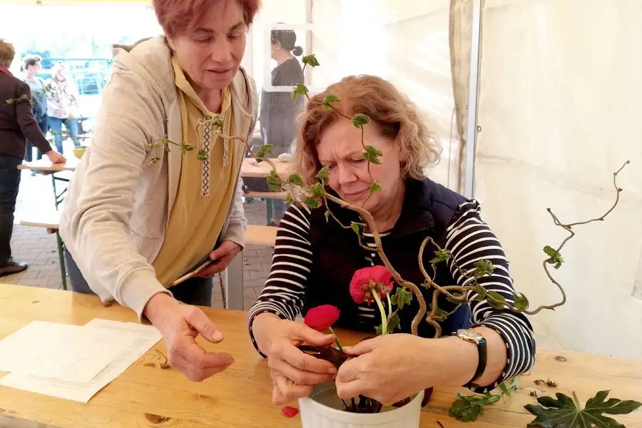 ikebana-schopf-kirschbluetenfest-2022