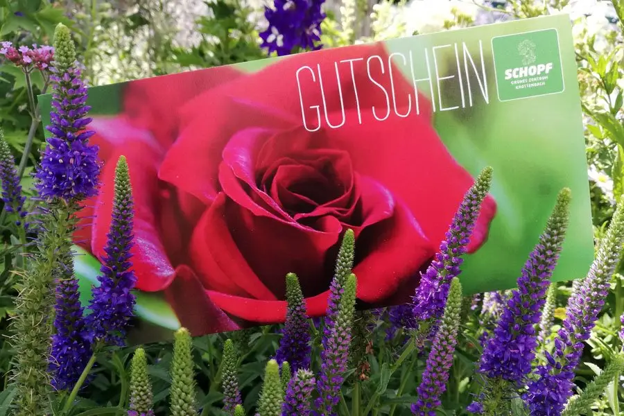 Gutschein von Schopf im Blumentopf