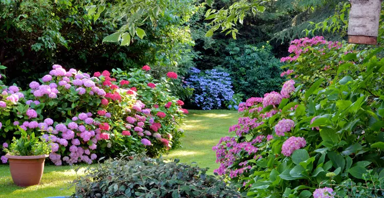 bienenfreundlicher-garten