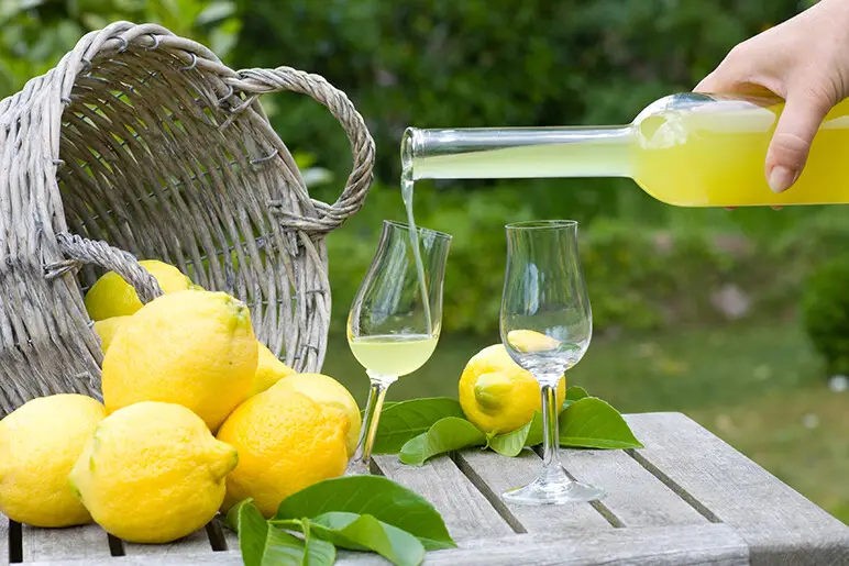 limoncello-selber-machen